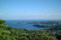 �T�R����